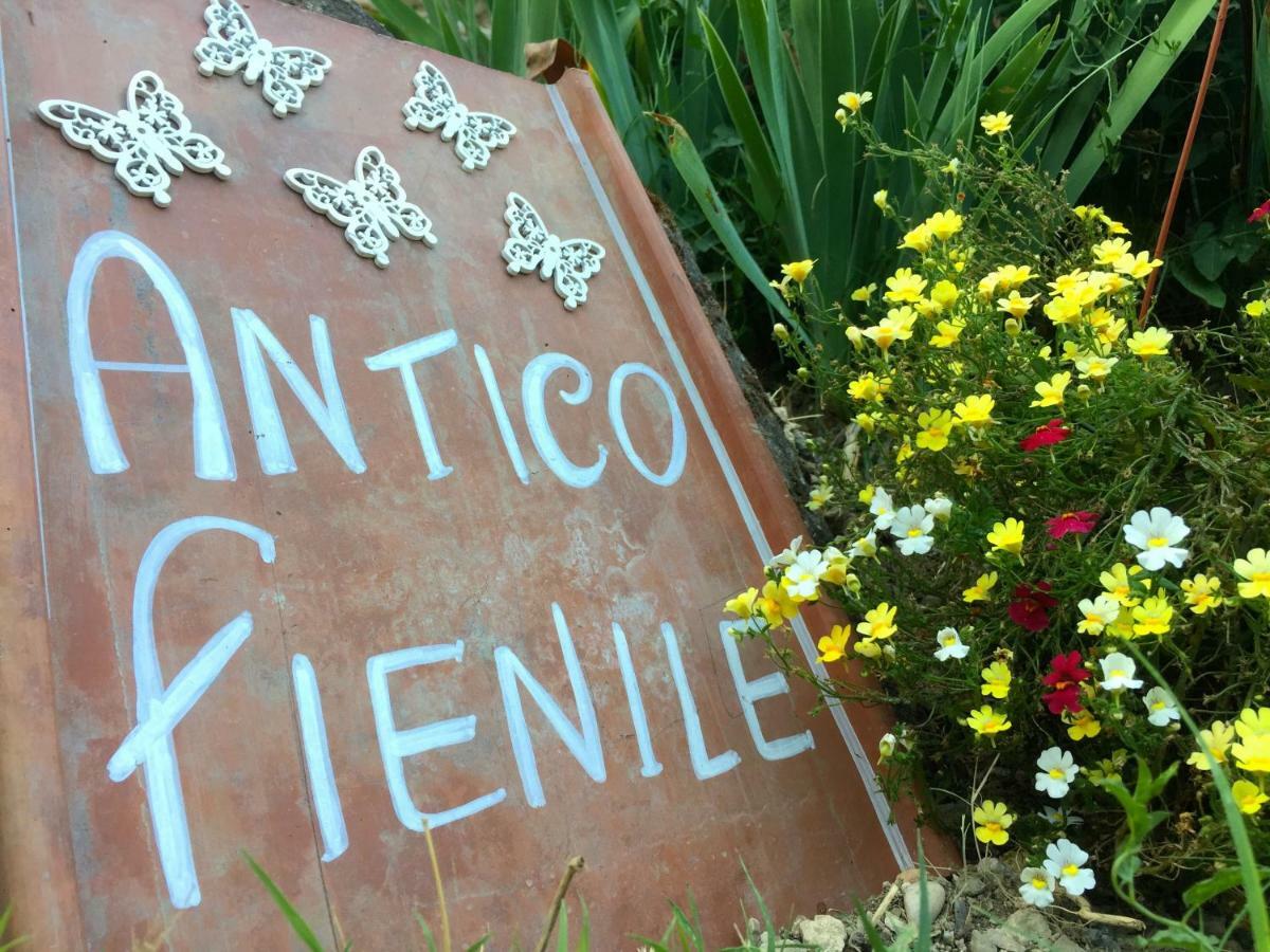 Antico Fienile Villa Celleno Екстериор снимка