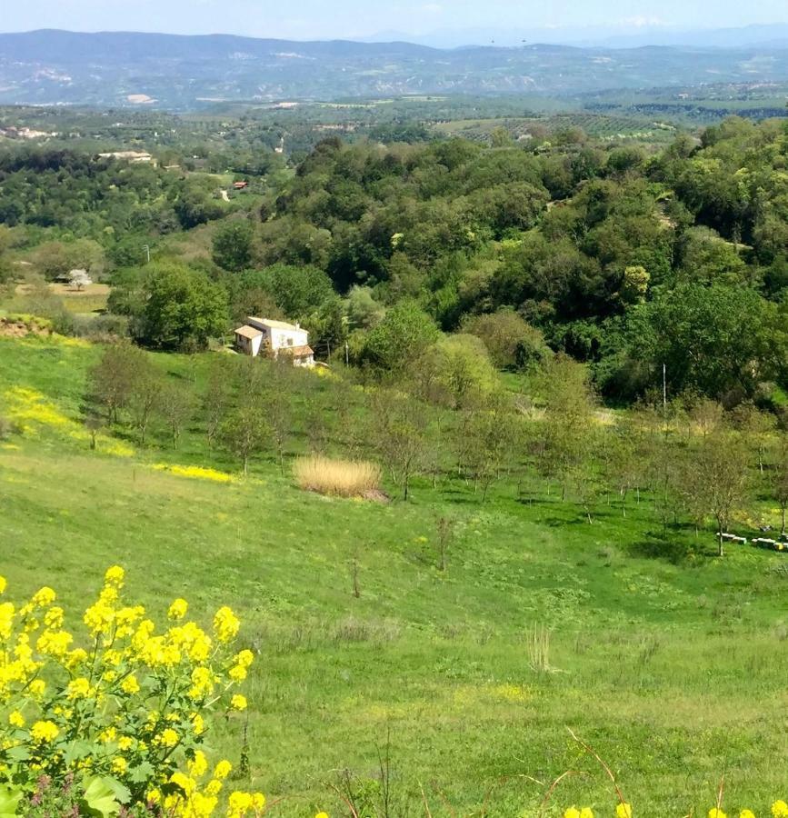 Antico Fienile Villa Celleno Екстериор снимка